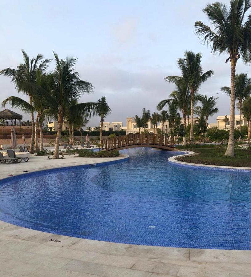 Diamond Forest Island Hawana